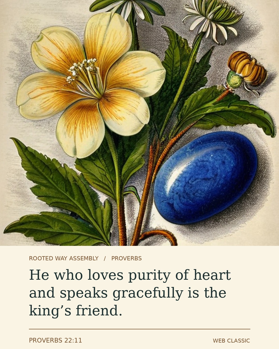 Proverbs 22:11 Scripture card showing the words: He who loves purity of heart and speaks gracefully is the king’s friend.